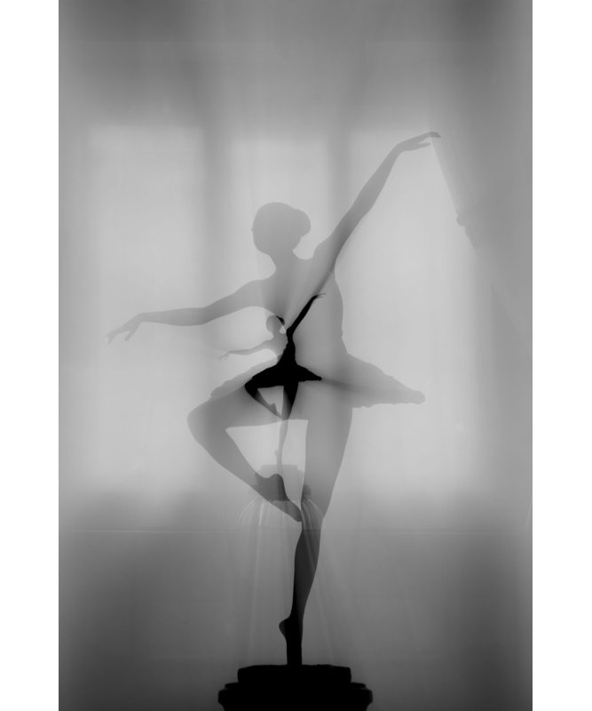 Wrapped Canvas Print, 81.28 cm H x 121.92 cm W