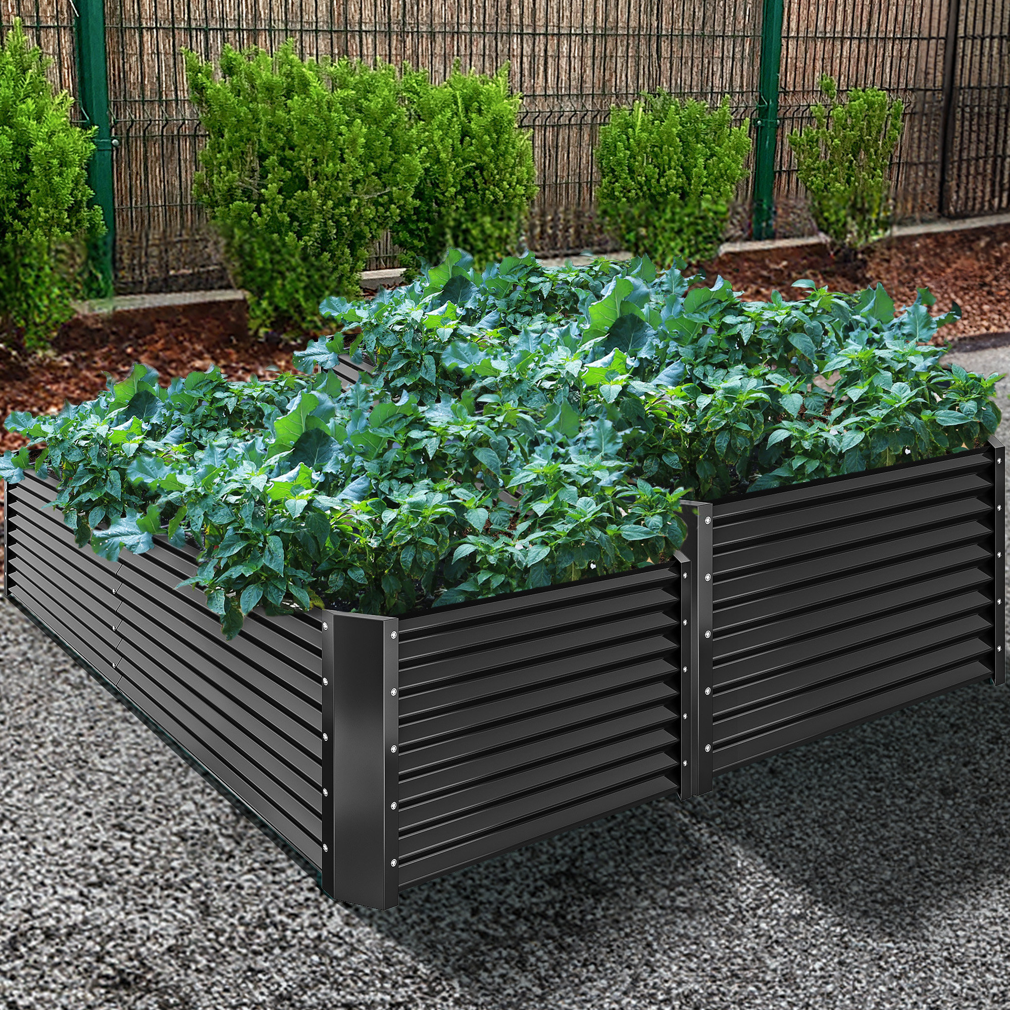 Best HD Pictures about  Wayfair Raised Garden Beds  with No AI Images