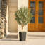 Olive artificielle George avec pot décoratif, faux olivier résistant aux rayons UV avec tronc naturel-1799478853-1799478852