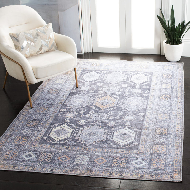 Brazzell Performance Machine Washable Oriental Rug, Rectangle 4' x 6'