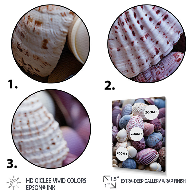 Beach Shells and Shadows III sur toile, H 20 po x l 12 po x P 1 po, Cadre photo blanc