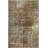 Raashid Oriental Indoor Rug-567313892
