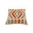 Foster Geometric Throw Pillow