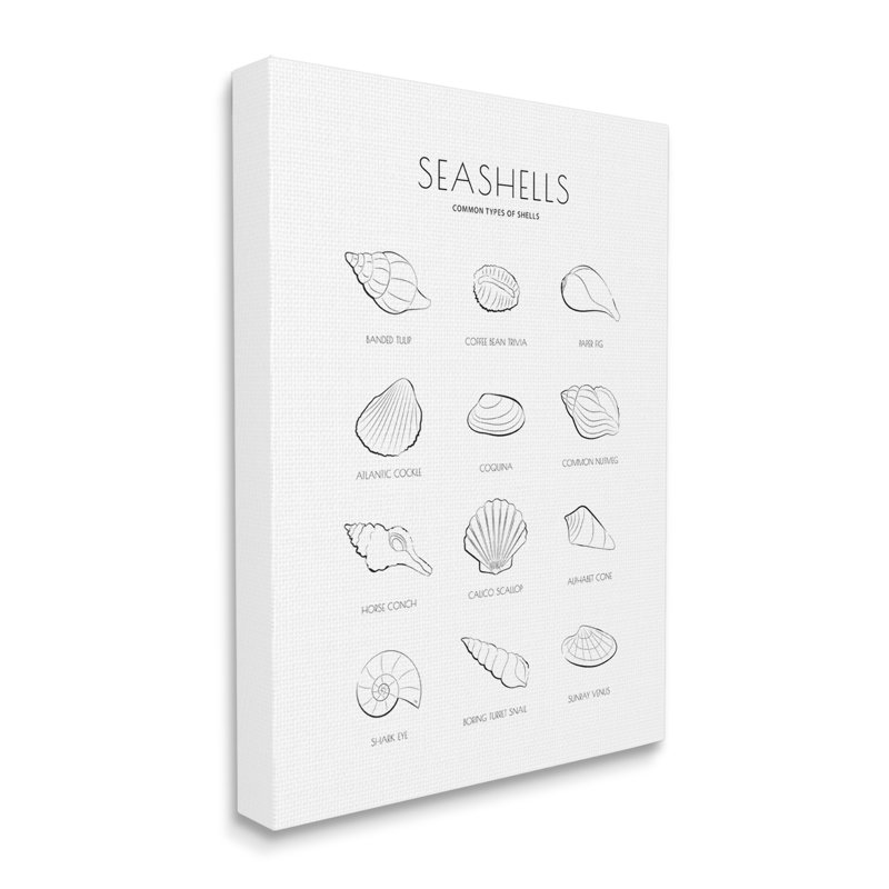 Guide nautique des coquillages, Toile tendue, H 30 po x l 24 po