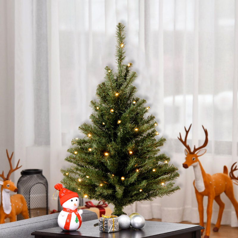 The Holiday Aisle® 3ft. Kincaid Spruce Tree with Clear Lights