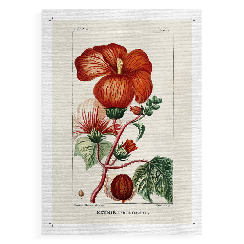 Turpin Tropical Botanicals VII - Reproduction de toile seulement - NON-CADRE, H 18 po x l 12 po