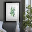 Eucalyptus II - Peinture sur toile encadrée-15832691-15832688
