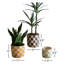 Ackworth Handmade Clay Pot Planter - Set of 3