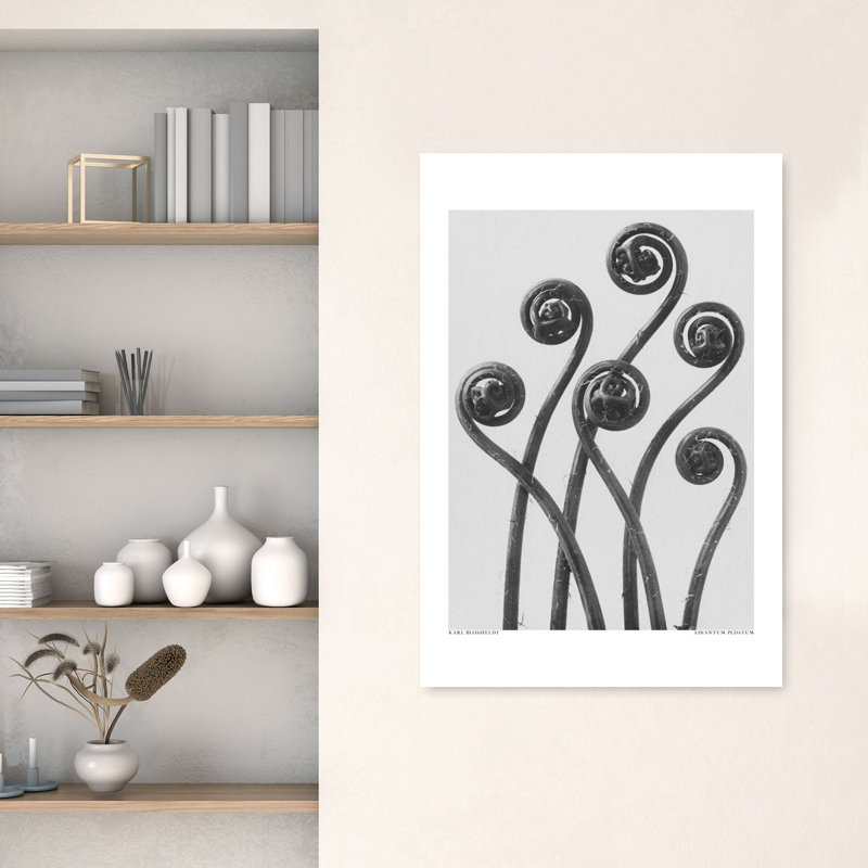 Adiantum Pedatum, rétro, reproduction d'art murale rétro, 48" H x 32" W