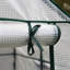 Tollison 4.5 Ft W x 4.5 Ft D Hobby Greenhouse
