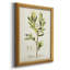 Toile encadrée de qualité supérieure antique botanique IV - prête à être accrochée-2147478973