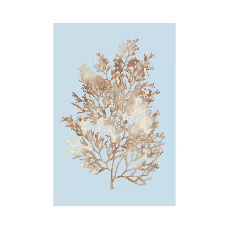 Coral III by PI Studio - Gallery-Wrapped Canvas Giclée on Canvas, 20.32 cm H x 30.48 cm W, No Frame