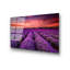 Boze Wall Decor