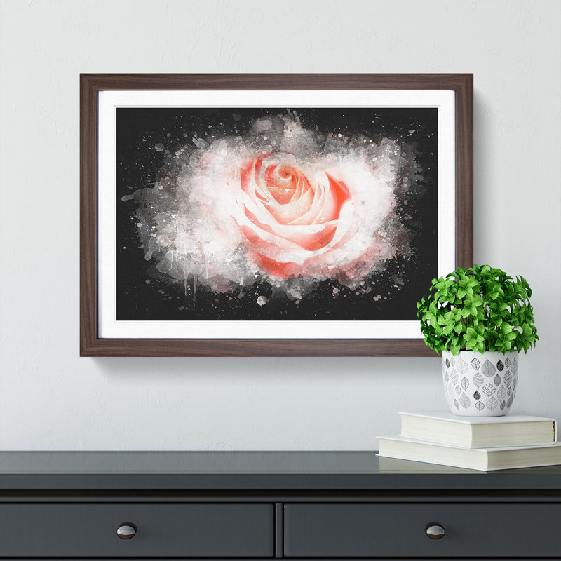 Pale Pink Rose - Picture Frame Graphic Art Print, 62cm H x 87cm W x 2cm D, Walnut Framed