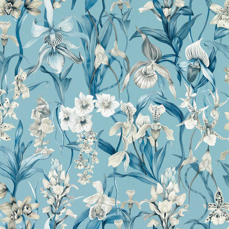 Kalina 10.05m x 68.6cm Wallpaper Roll, Celestial/Murmuration/Awakening
