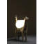 Iconos LED Table Lamp