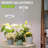 Grow Light, LED Plant Light For Indoor Plants Growing, Full Spectrum Desk Growth Lamp With Automatic Timer For 4H/8H/12H, 4 Dimmable Levels, Height Adjustable 9.8"-30.6"