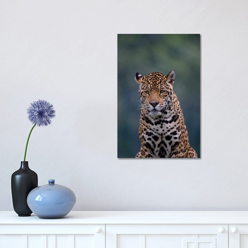 Jaguar I by Goran Anastasovski - Wrapped Canvas Print, 30.48 cm H x 45.72 cm W