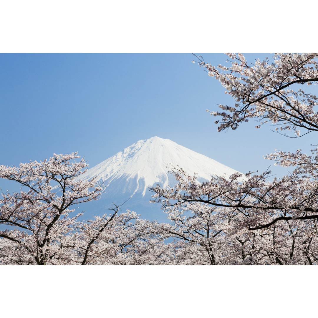 Mt Fuji im Frühling von Ooyoo - Druck