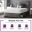 Gallego Upholstered Divan Bed-386540447-386540454-386542520