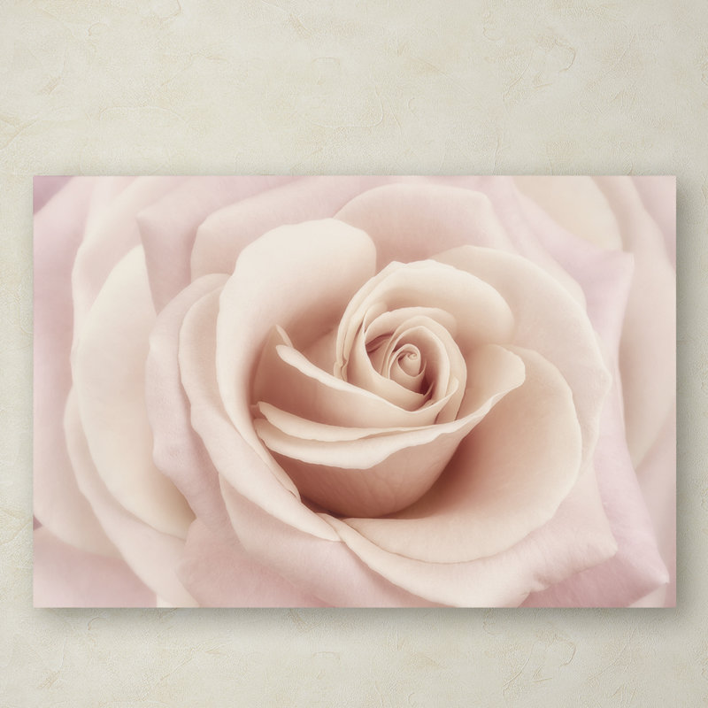 « pêche rose rose », reproduction de photo sur toile tendue, H 16 po x l 24 po x P 2 po