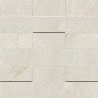 Carreau de mur et de plancher en porcelaine 2 po x 4 po