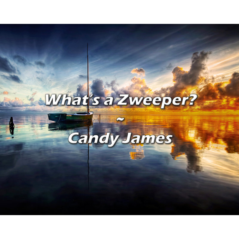 Citation de Candy James: Qu'est-ce qu'un Zweeper?