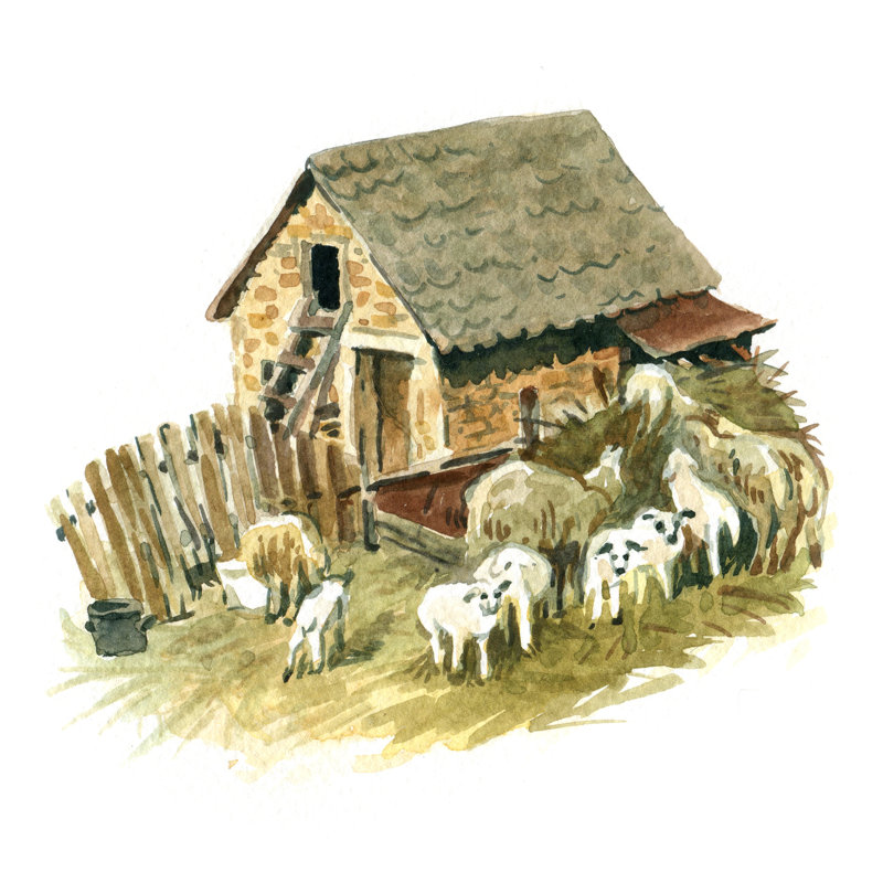 Farm - Wrapped Canvas Print, 122cm H x 122cm W x 3.8cm D