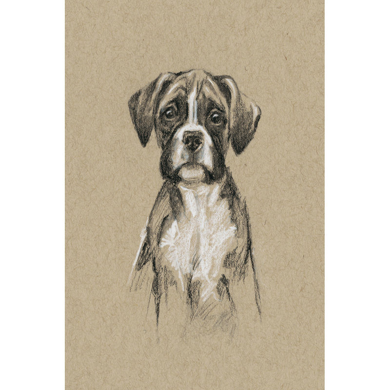 Breed Sketches V by Ethan Harper - Painting Print, 122cm H x 81cm W, Black Floater Framed