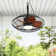 Mistkowski 20" 5 ABS Blades Small Caged Ceiling Fan with LED Lights