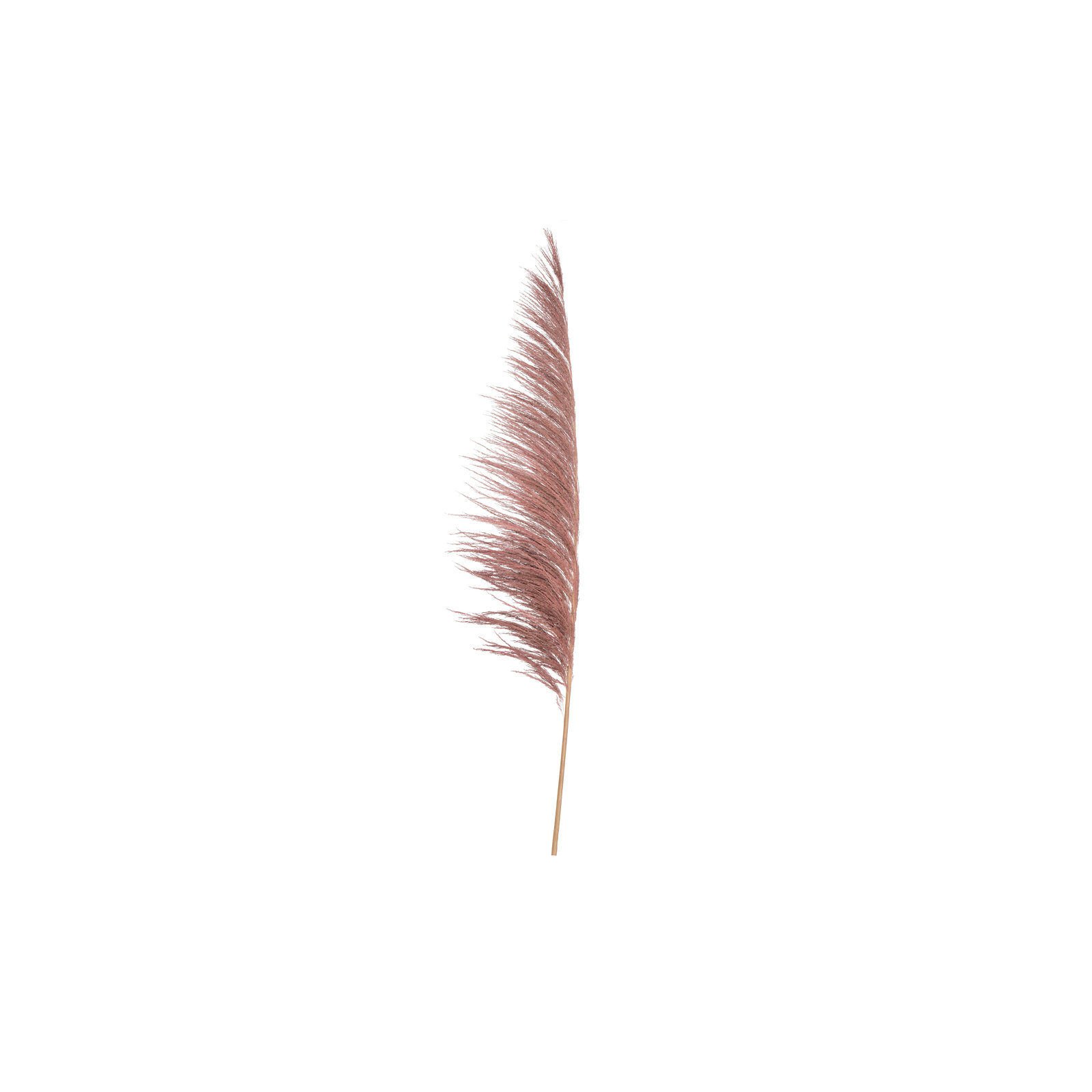 Lei 71'' Palm Plant, Dusty Rose