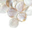 Conchella Penny Natural 11-1/4" x 11-5/8" Natural Shell Mosaic Tile