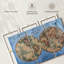 «Ocean Hemispheres», reproduction d'art sur toile-92761012