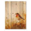 Oiseau Robin dans la prairie - Décoration murale en bois d'oiseau - sur bois de pin naturel-728929989