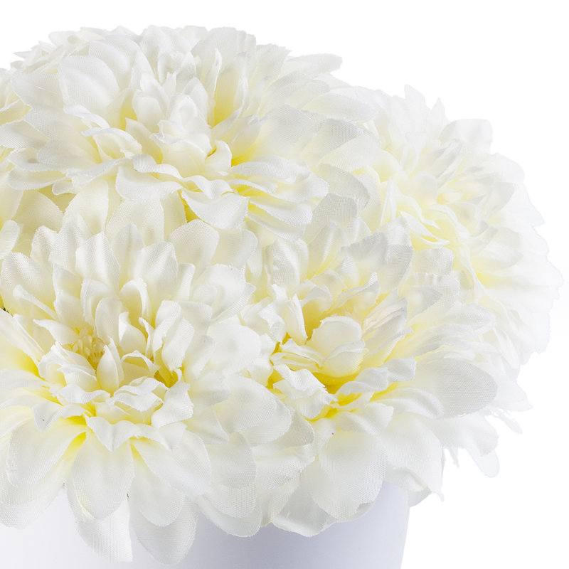 Arrangement floral dahlia en pot, Crème