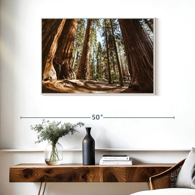 Été dans le parc Sequoia, Cadre flottant blanc, 37 po x 25 po