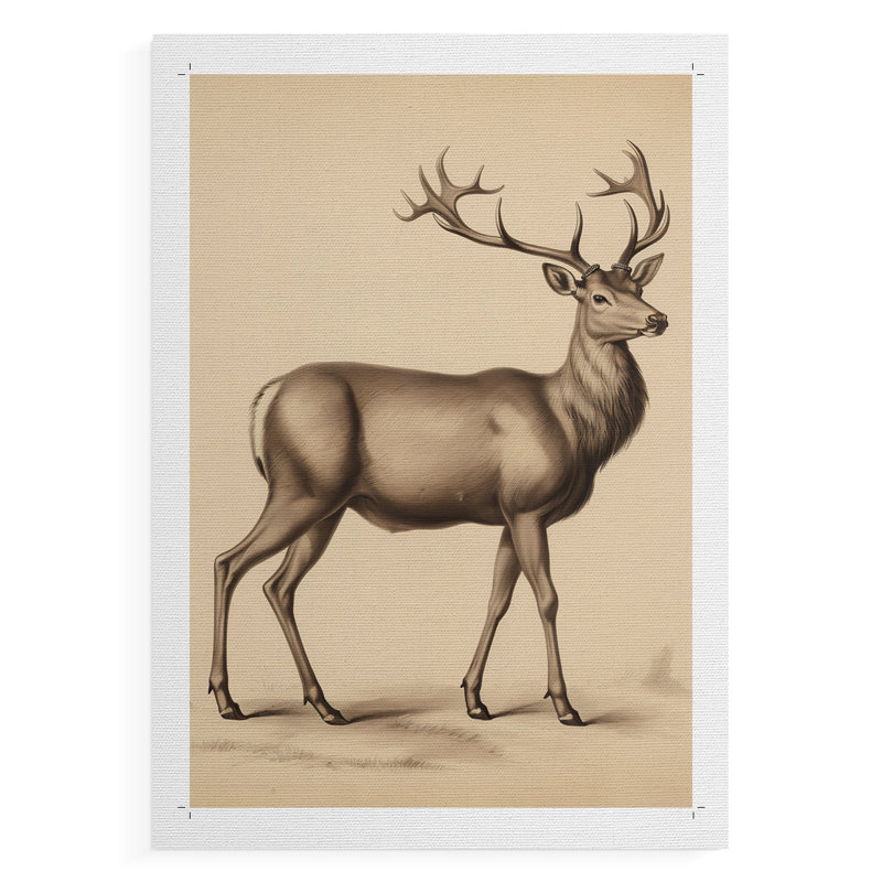 Reproduction animalière rétro VII - reproduction de toile seulement - non encadrée, H 27 po x l 18 po