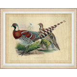 Pheasant Collection 5 Print