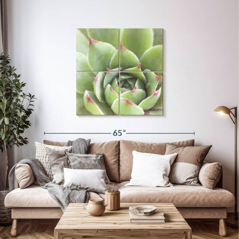 Harnek Garden Succulents III, H 38 po x l 38 po