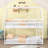 Twin Over Twin Wood Low Bunk Bed With Ladder And Guardrails, House-Shaped Design-271809110