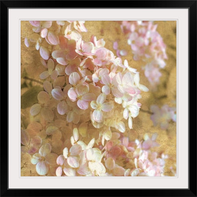 « i » par sue schlabach, impression Gilded Hydrangea