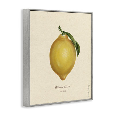 «Lemon Fruit Portrait», estampe numérique, design par Danielle Murray