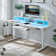 60inch Electric Standing Desk With Height Adjustable Gaming Desk,power Outlets, Led Lights, Keyboard Tray, And Monitor Shelf,for Home Office