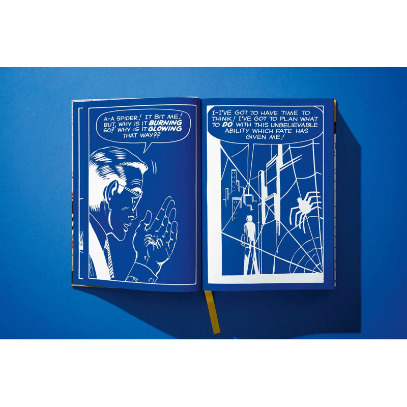 Marvel Comics Library Spider-Man Vol. 1