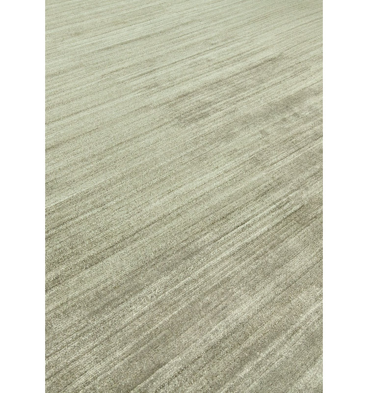 Delaine Area Rug in Khaki Gray, Rectangle 3' x 5'