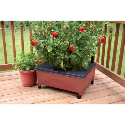 Warlick City Picker Raised Bed