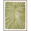 Botanicus Tredecim 1 Framed Acrylic Painting Print Canvas-462195695