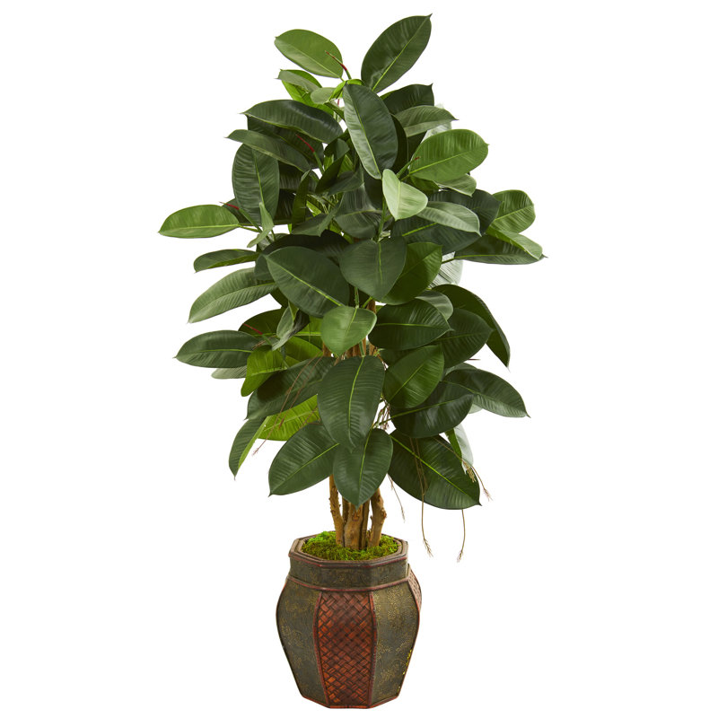 52 " H Faux Rubber Tree