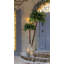 72' H Lighted Artificial Tropical Christmas Tree