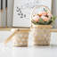 Adana Ceramic Pot Planter-733527316